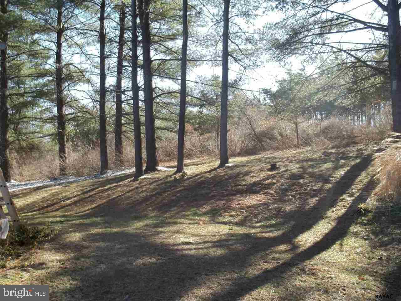 1590 Butter Road Dover, PA 17315 - Photo 5 of 6 Gallery Image 5