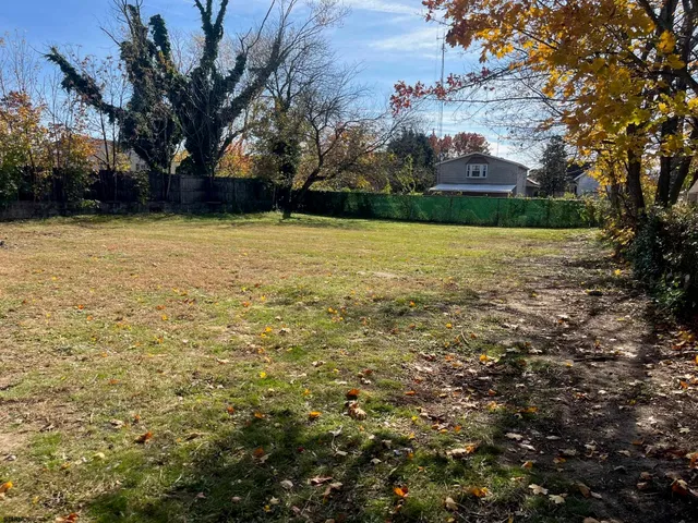 a view of yard with tree