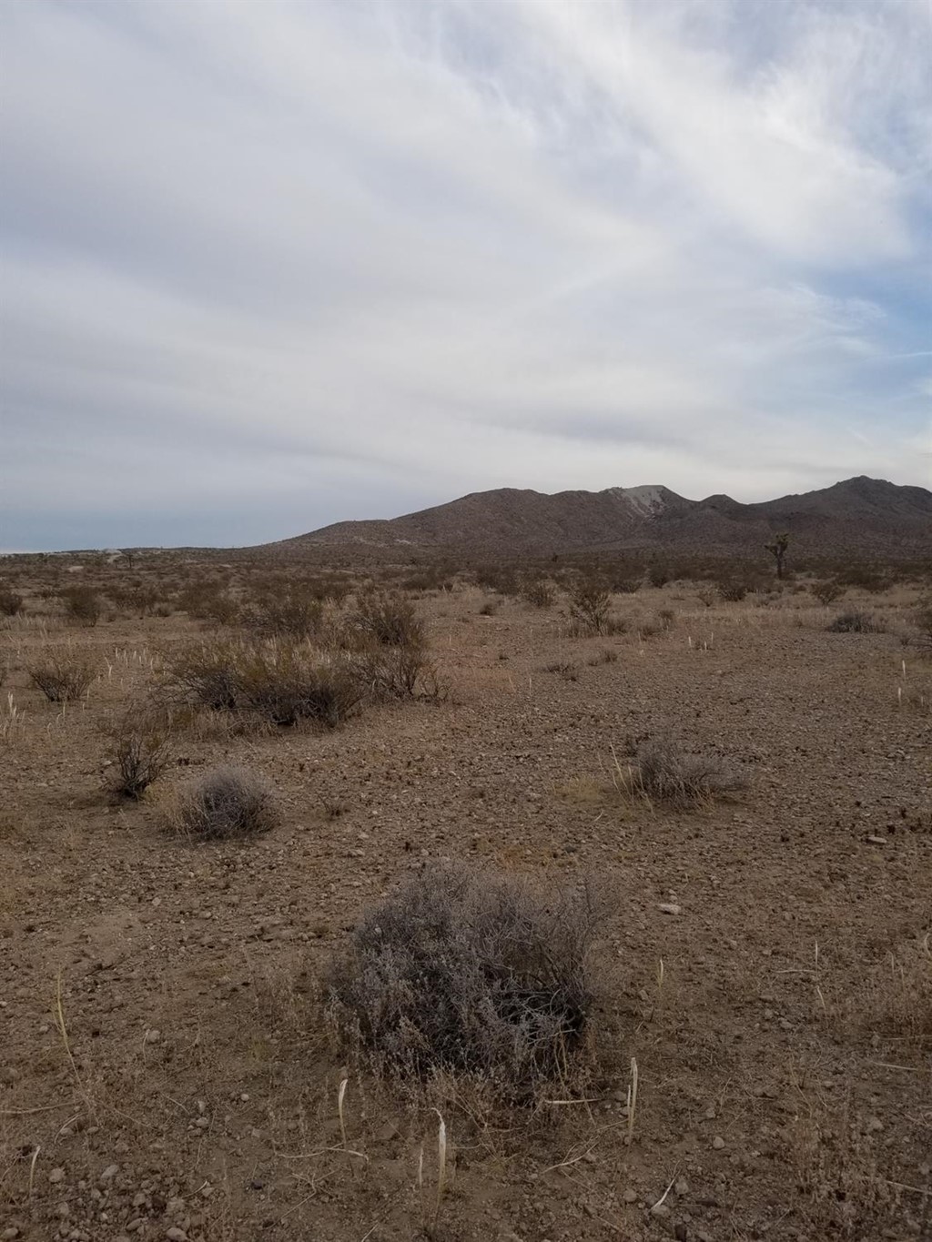 0 Silver Peak Road Adelanto, CA 92301 - Photo 1 of 5 Gallery Image 1