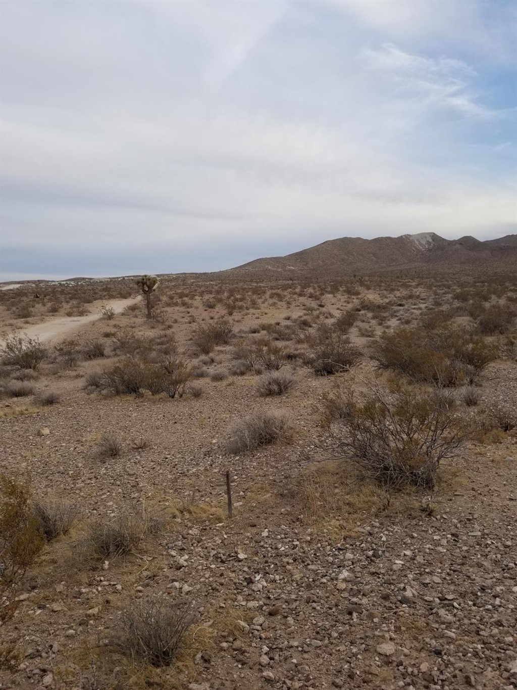 0 Silver Peak Road Adelanto, CA 92301 - Photo 4 of 5 Gallery Image 4