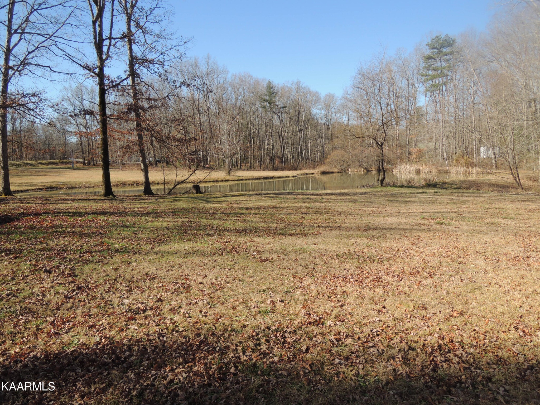 1136 Banner Springs Road Jamestown, TN 38556 - Photo 10 of 33 Gallery Image 10