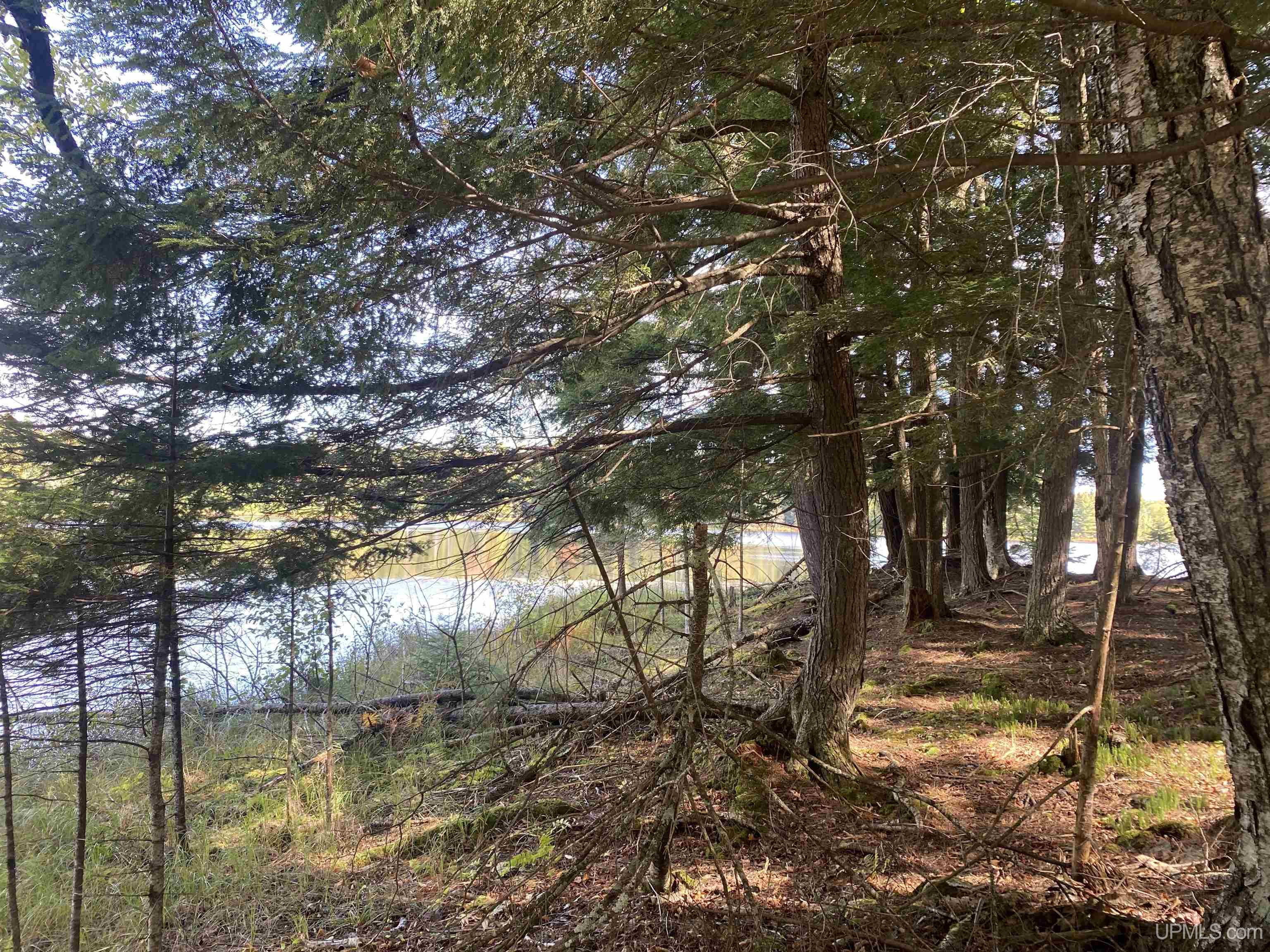 13-14 Grace Lake Road Watersmeet, MI 49969 - Photo 2 of 23