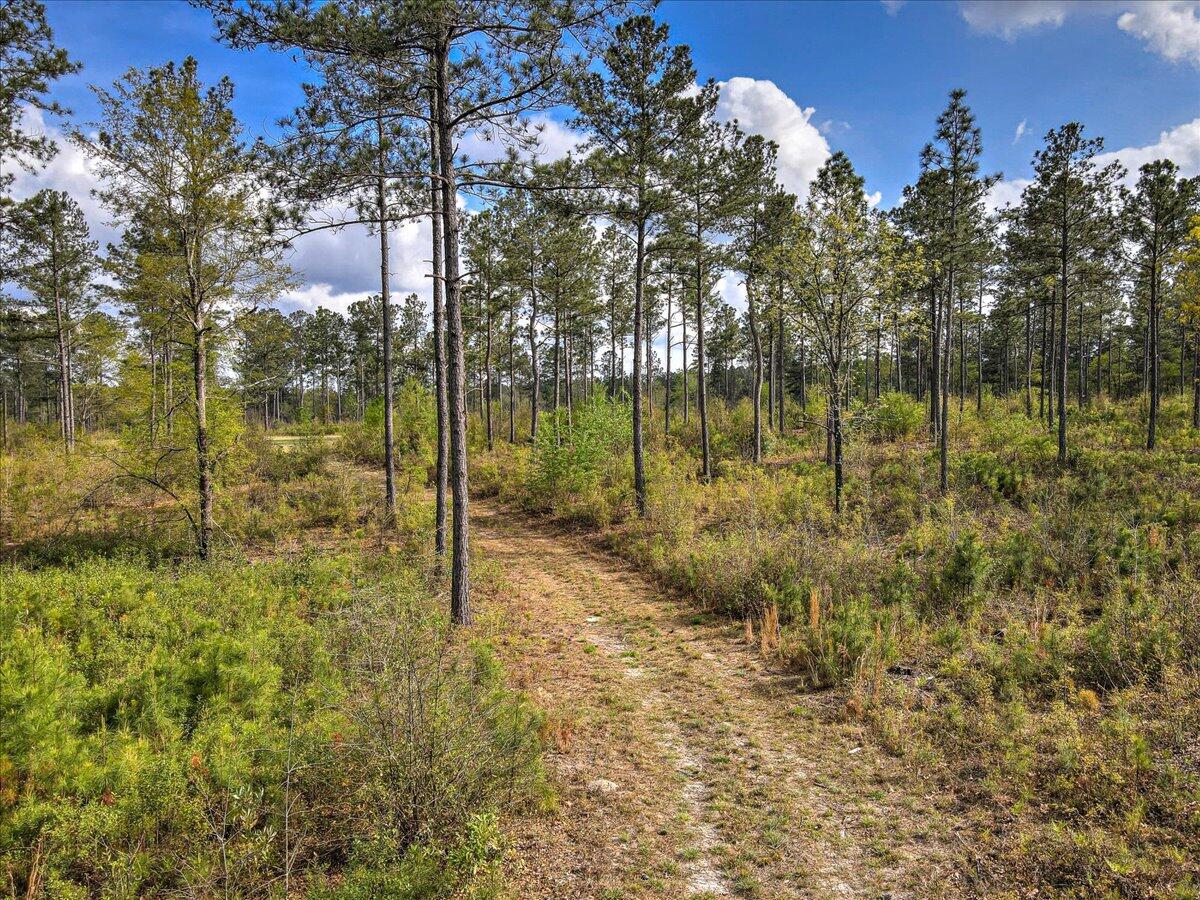 0 Deer Run Road, Unit E Williston, SC 29853 - Photo 2 of 15
