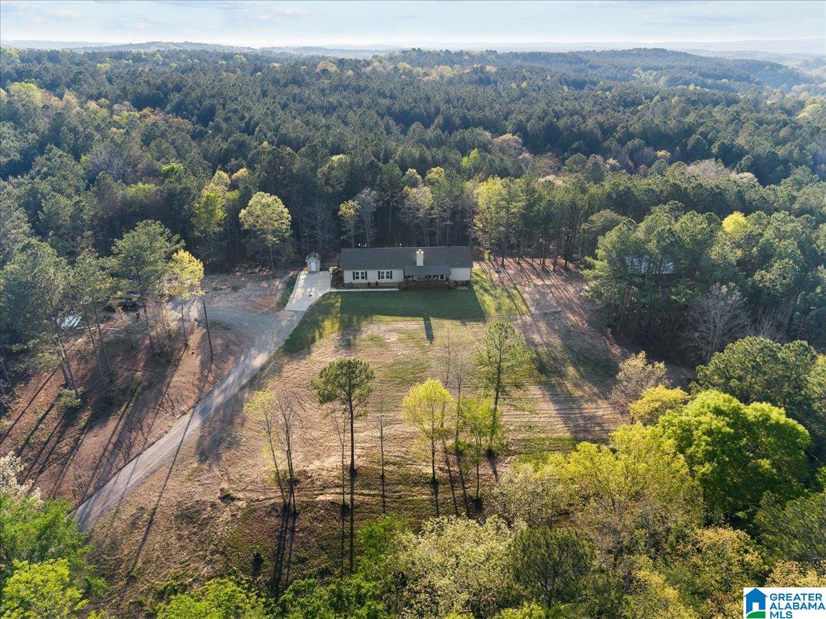 1009 Deaver Walker Road Trafford, AL 35172 - Photo 32 of 39