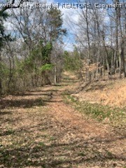 4 Hidden Farms Road Poca, WV 25159 - Photo 8 of 40 Gallery Image 8