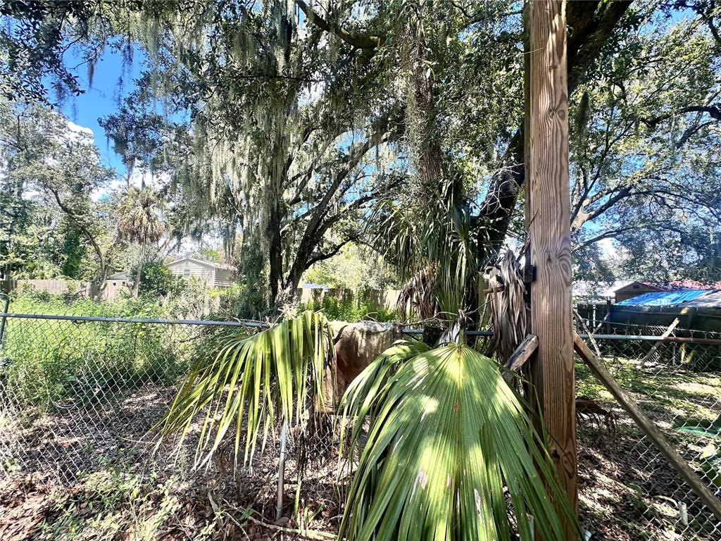 9011 Carey Road Lithia, FL 33547 - Photo 5 of 16 Gallery Image 5