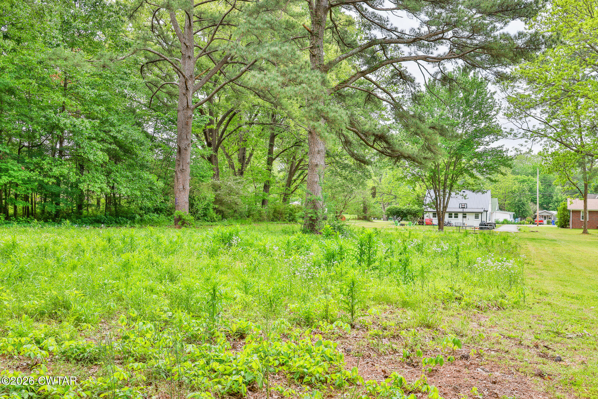 210 East Union Street Gleason, TN 38229 - Photo 27 of 28 a view of yard with green space