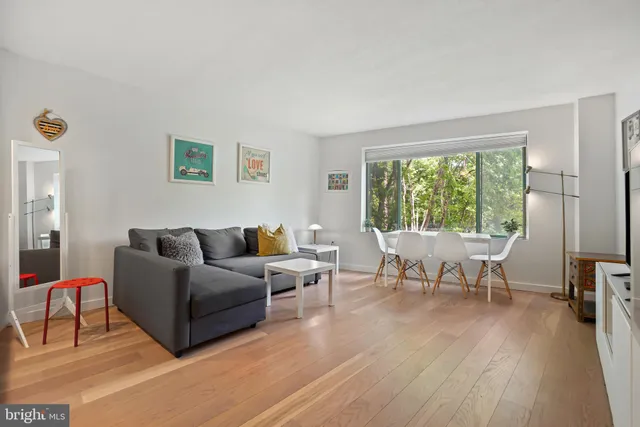 a living room with furniture and a couch