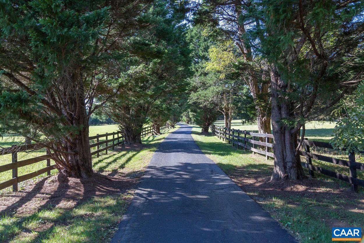5904 Free Union Road Free Union, VA 22940 - Photo 75 of 75 a view of a yard with plants and a large tree