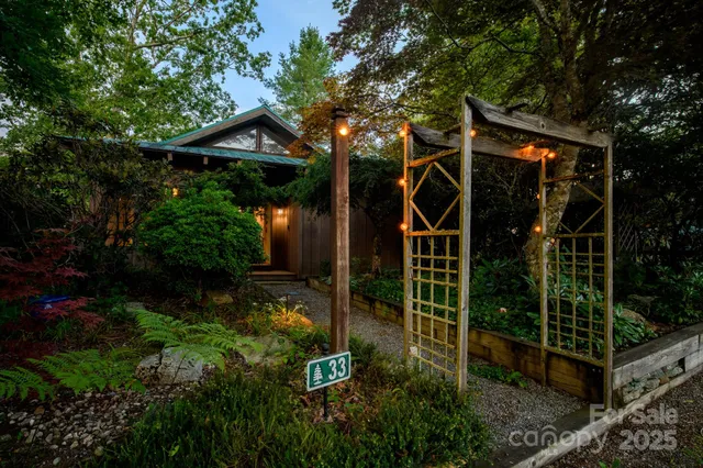 a view of a backyard with plants