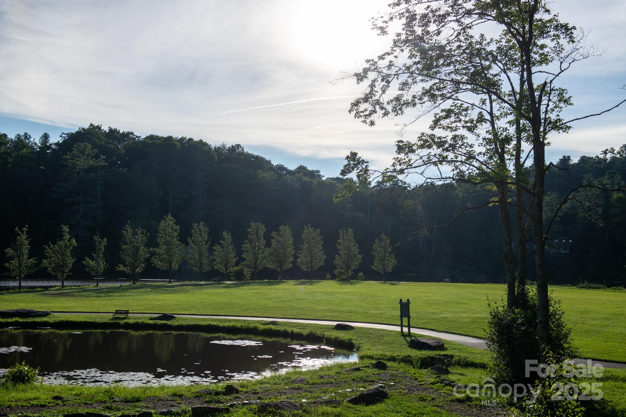 33 Summit Lane Newland, NC 28657 - Photo 14 of 48 a view of a park with large trees