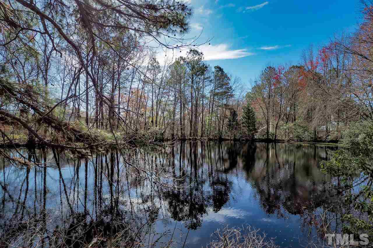 1713 Vintage Road Raleigh, NC 27610 - Photo 21 of 23 a view of river covered by trees and buildings