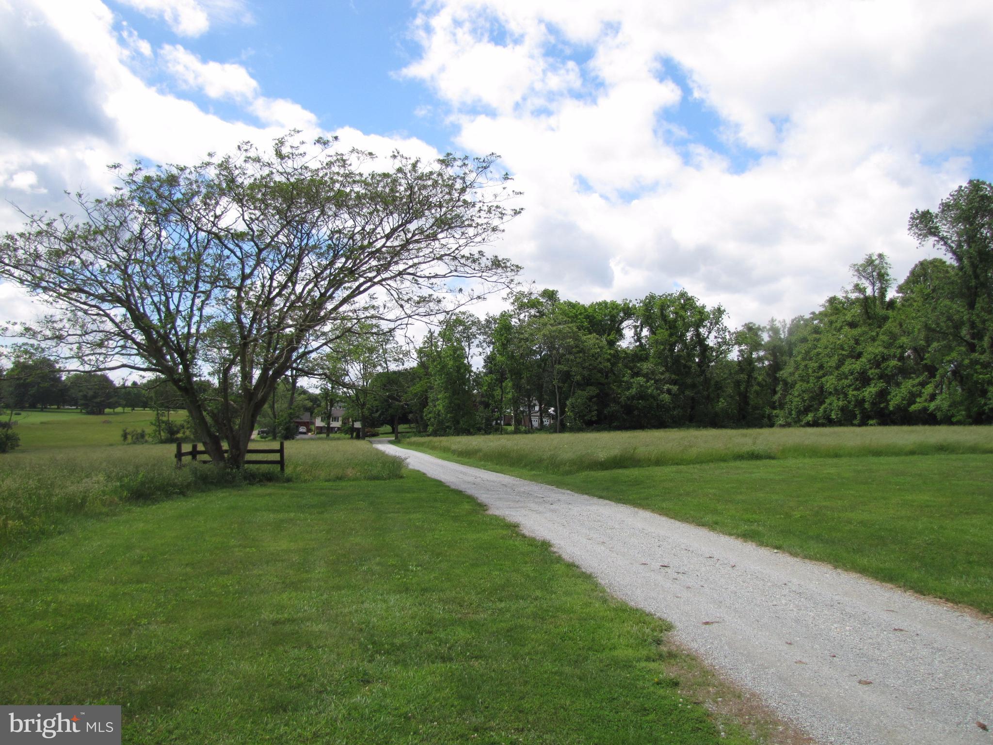 234 Weaver Meadows Road Conowingo, MD 21918 - Photo 16 of 20 View from Home