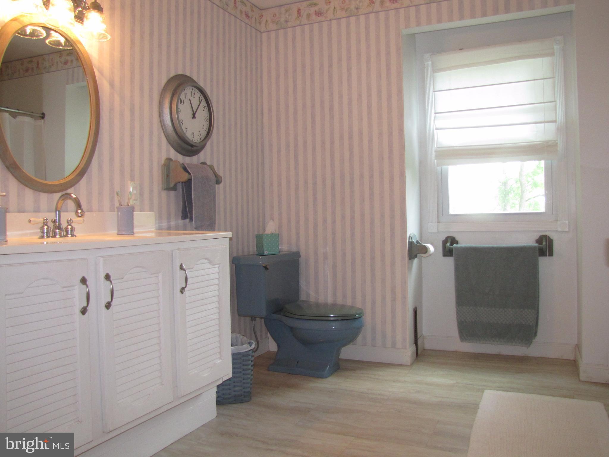 234 Weaver Meadows Road Conowingo, MD 21918 - Photo 10 of 20 Upstairs Bathroom