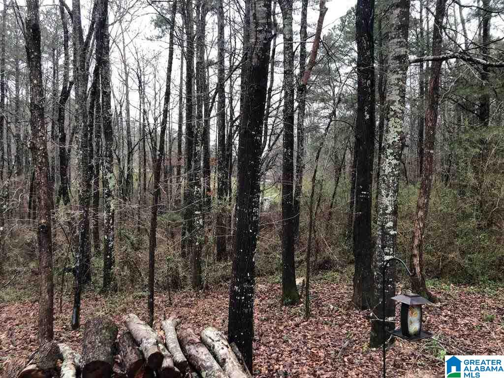 4465 Pleasant Valley Road Jacksonville, AL 36265 - Photo 29 of 30
