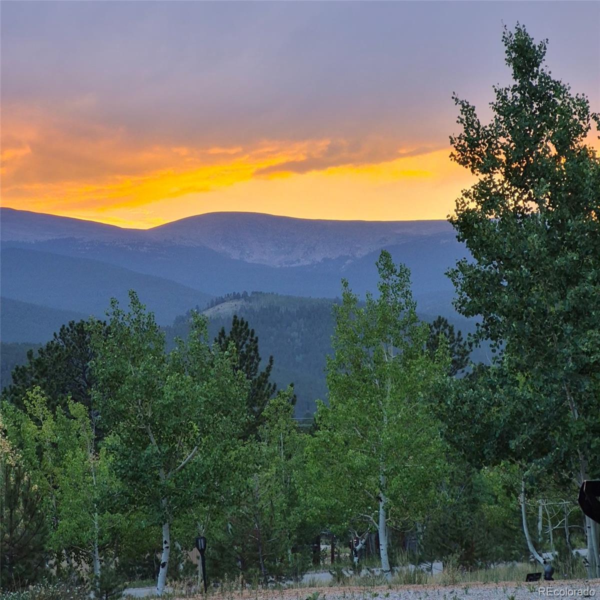 388 Clark Road Bailey, CO 80421 - Photo 7 of 33 Gallery Image 7