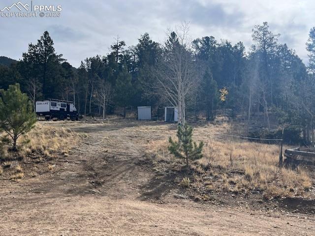 206 Emerald Way Lake George, CO 80827 - Photo 12 of 22 a view of a yard with a tree