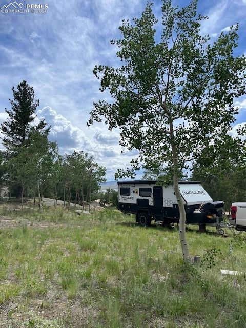 206 Emerald Way Lake George, CO 80827 - Photo 13 of 22 a view of a house with a yard