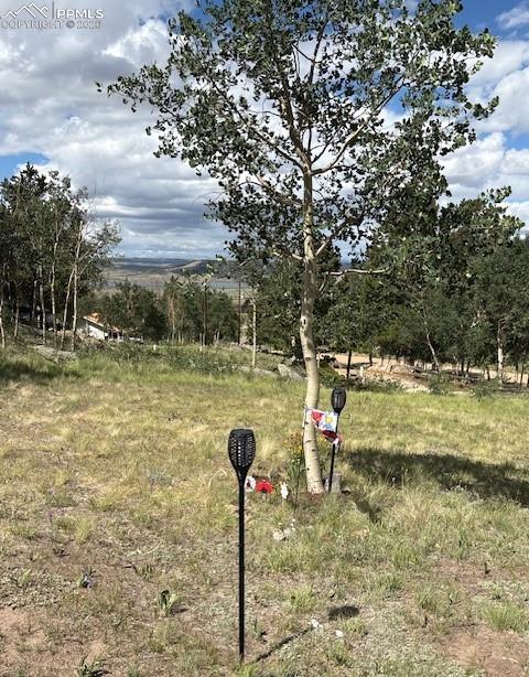 206 Emerald Way Lake George, CO 80827 - Photo 14 of 22 a view of a yard with a fountain