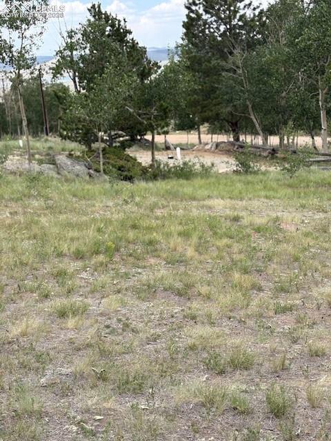 206 Emerald Way Lake George, CO 80827 - Photo 15 of 22 a backyard of a house with lots of green space and chair
