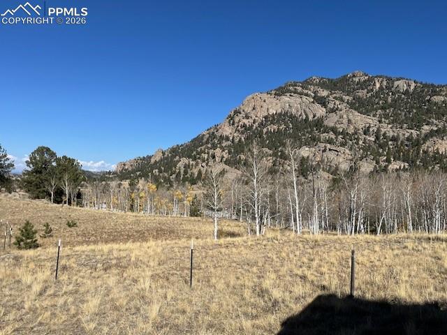 206 Emerald Way Lake George, CO 80827 - Photo 17 of 22 a view of large yard with trees