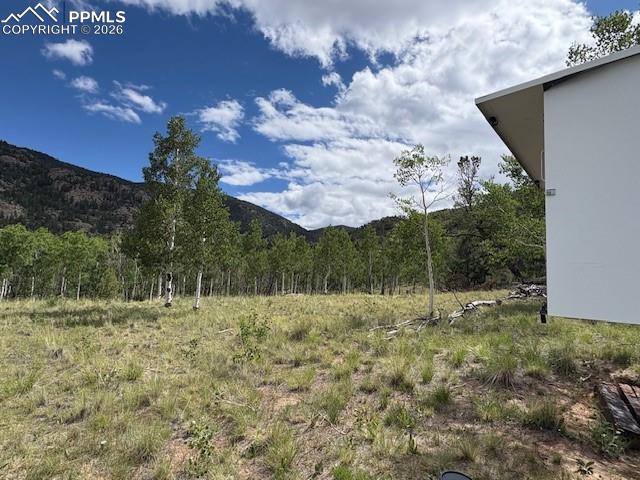 206 Emerald Way Lake George, CO 80827 - Photo 18 of 22 a view of outdoor space with mountain view