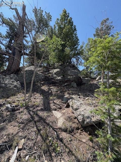 206 Emerald Way Lake George, CO 80827 - Photo 21 of 22 a view of a tree with a yard