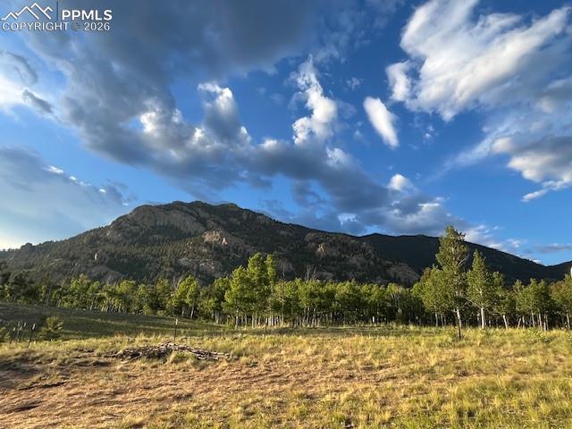 206 Emerald Way Lake George, CO 80827 - Photo 3 of 22 a view of a lake with a mountain in the background