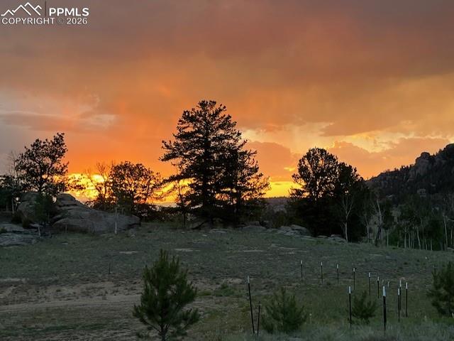 206 Emerald Way Lake George, CO 80827 - Photo 4 of 22 a view of a green field