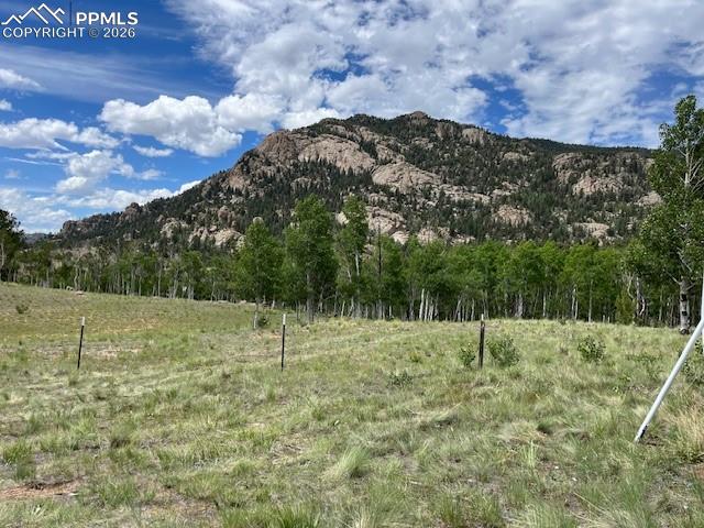 206 Emerald Way Lake George, CO 80827 - Photo 5 of 22 a view of outdoor space with mountain view