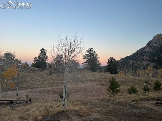 206 Emerald Way Lake George, CO 80827 - Photo 6 of 22 a view of a dry yard with wooden fence