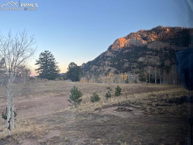 206 Emerald Way Lake George, CO 80827 - Photo 7 of 22 a view of a dry yard with trees