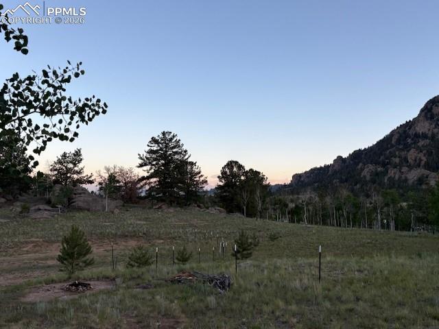 206 Emerald Way Lake George, CO 80827 - Photo 8 of 22 a view of a outdoor space