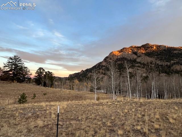206 Emerald Way Lake George, CO 80827 - Photo 10 of 22 a view of a dry yard with trees