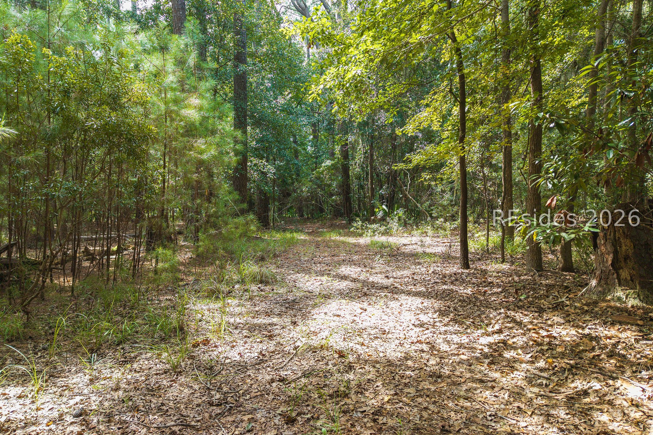 22 Smilax Vine Road Bluffton, SC 29910 - Photo 21 of 28 Gallery Image 21