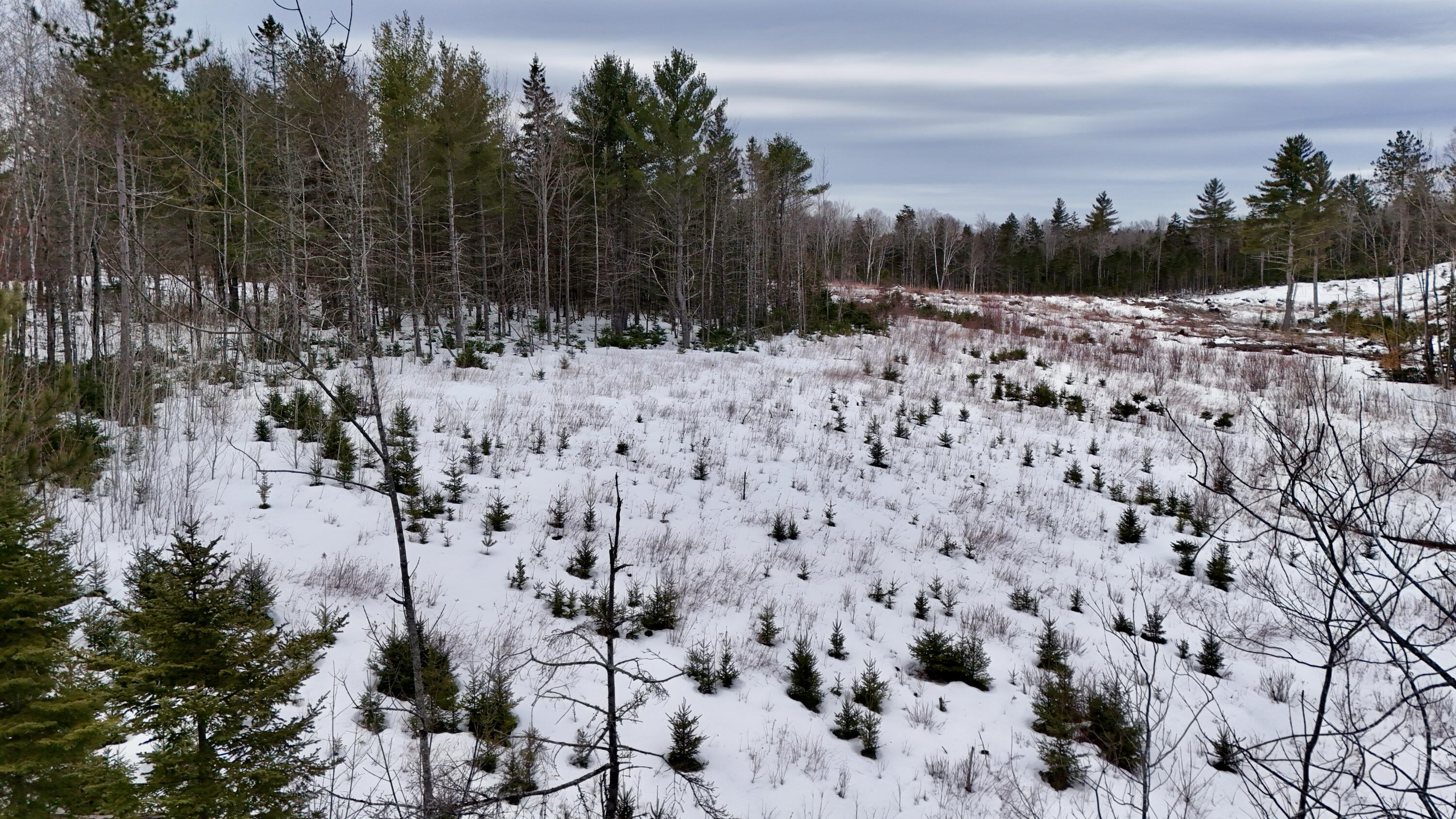 DJI_20260309111056_0667_D