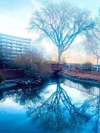 a view of lake from a yard