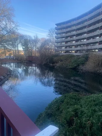 a view of a yard next to a lake view