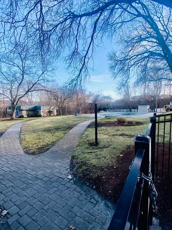 a view of a garden with large tree