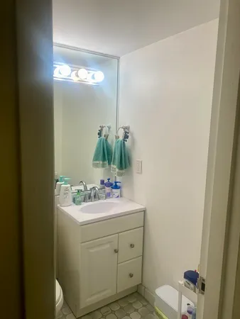 a bathroom with a sink toilet vanity and mirror