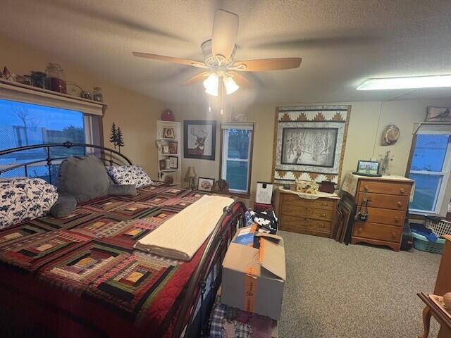 4072 20 Mile Road Marion, MI 49665 - Photo 18 of 52 aj8