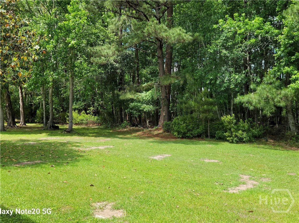 652 Ralph Rahn Road Rincon, GA 31326 - Photo 19 of 19 Beautiful Views