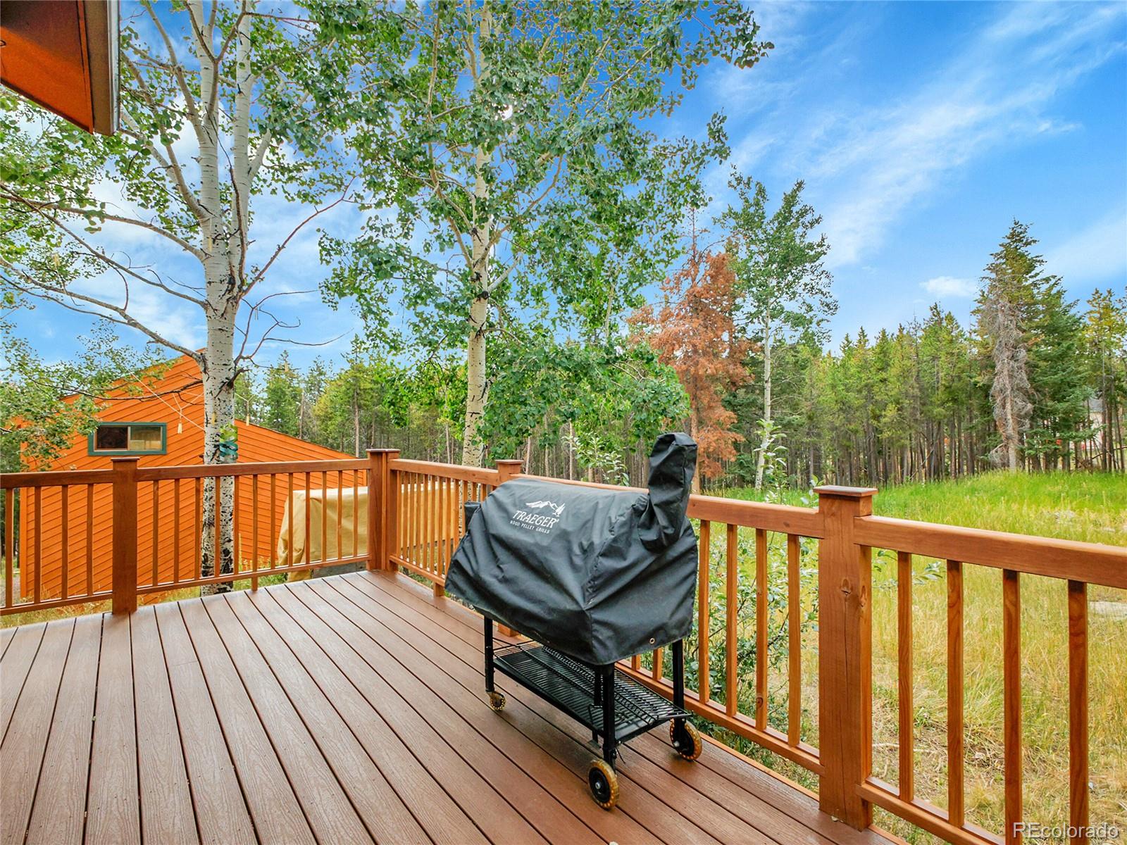 8310 South Warhawk Road Conifer, CO 80433 - Photo 3 of 17 Gallery Image 3