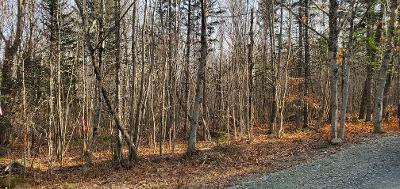 0 Campbell Road Harmony, ME 04942 - Photo 12 of 21 thumbnail