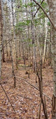 0 Campbell Road Harmony, ME 04942 - Photo 13 of 21 thumbnail (1)