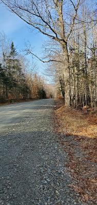 0 Campbell Road Harmony, ME 04942 - Photo 17 of 21 thumbnail (5)