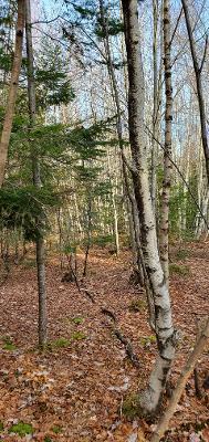 0 Campbell Road Harmony, ME 04942 - Photo 18 of 21 thumbnail (6)