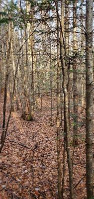 0 Campbell Road Harmony, ME 04942 - Photo 19 of 21 thumbnail (7)