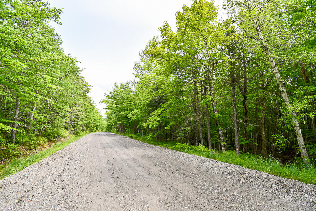 0 Campbell Road Harmony, ME 04942 - Photo 3 of 21 DSC_1886