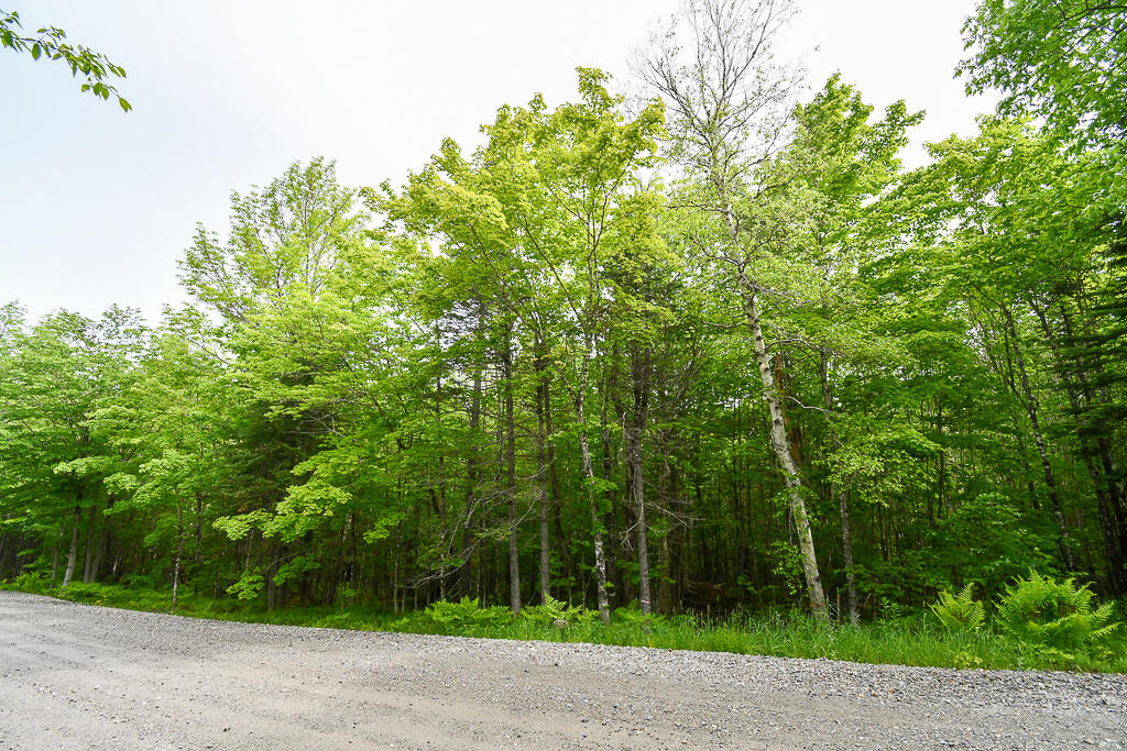 0 Campbell Road Harmony, ME 04942 - Photo 5 of 21 DSC_1888